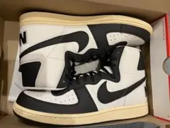 ナイキ ターミネーター ハイ 