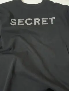 SECRET ラインストーン Tシャツ ブラック S 入手困難 SECRET ラインストーン Tシャツ ブラック S 入手困難 - メルカリ