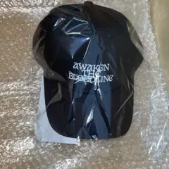 &TEAM BALL CAP ボール　キャップ　帽子