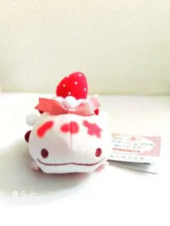 京都水族館限定 サンショウウオ ショートケーキ ぬいぐるみ