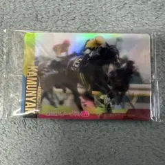 競馬 トレーディングカード カムニャック サイン入り