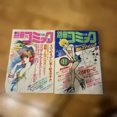 別冊少女コミック月刊2冊