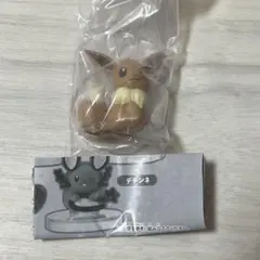 ポケモン しっぽみてみて イーブイ