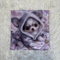 ハンカチ‹レアパネル·犬›‹Wガーゼ›‹ハンドメイド›