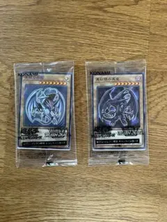 遊戯王デュエルモンスターズ　ハイチュウ　ブルーアイズ・レッドアイズ　セットのサムネイル