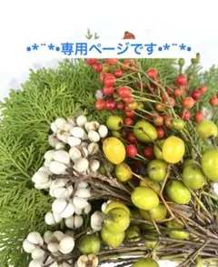 やーや様専用ページです