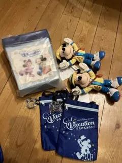 ディズニー　バケパ　バケージョンパッケージオリジナルグッズ