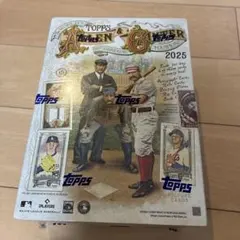 Topps Allen & Ginter 2025 hobby box 未開封