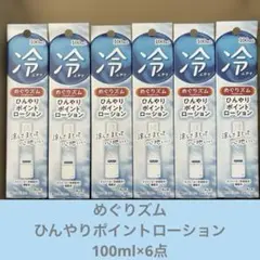 めぐりズム ひんやりポイントローション 100ml×6点のサムネイル