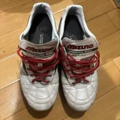 モレリア2のサムネイル