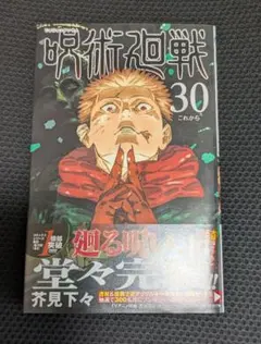 初版 帯付き シュリンク付】 呪術廻戦 30巻 未開封品 - メルカリ