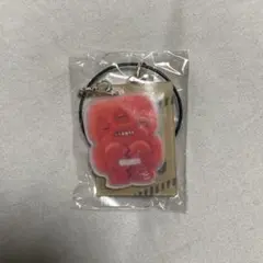 ファグラー　ワイヤーキーリング　シリーズ2