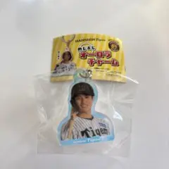 阪神　チャーム