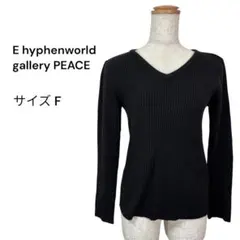 Ehyphenworldgallery （F）リブVネックラメニット ブラック