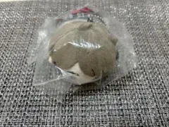 ハイキュー 宮 治 もちもちマスコットWA vol.２ もちマス