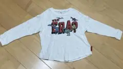 BREEZE 福井県立恐竜博物館コラボ 恐竜ロゴロングTシャツ