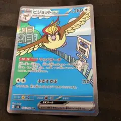 ピジョットex sar 1枚　709