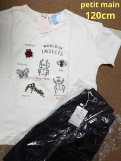 プティマイン　半袖　パンツ　120cm　2点セット②