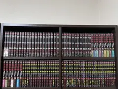 豪華94冊　彼岸島　全巻セット　最後の47日間　48日後… フルセット 彼岸島 全巻／彼岸島 48日後…／彼岸島 最後の47日間