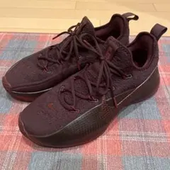 ナイキ レブロン バスケットボール