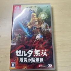 ゼルダ無双 厄災の黙示録 Nintendo Switch