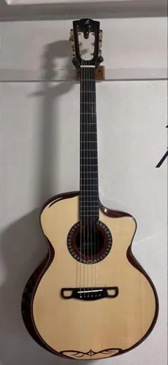 □Ibanez アイバニーズ◾️AEW15LTD1-NT1201限定品◾️エレアコ