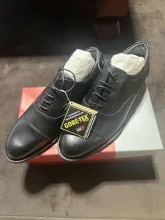 [新品、未使用] REGAL GORE-TEX 622Rのサムネイル