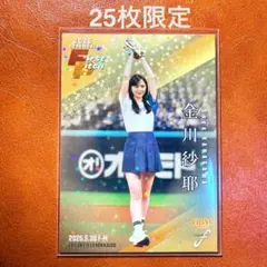 Item thumbnail for item cb7d8d95-f269-40ab-b0d7-4e1ec2bb8930