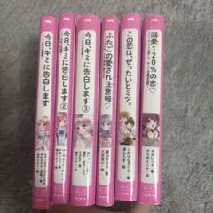 野いちごジュニア文庫6冊セット