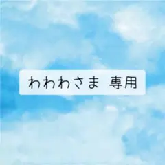 わわわさま 専用