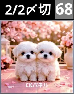 新柄♥️期間限定レアパネル生地　6犬種パネル生地　6柄セット　CKパネル