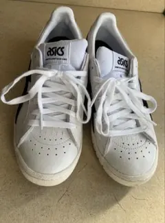 ⭐︎KEITAROさま専用⭐︎ 【アシックス】 GEL-PTGスニーカー 25.0