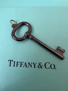 ぴ*ぴ様 値下げしました。Tiffany & Co. ブラックキー型 ネックレス