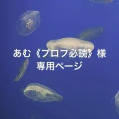 あむ《プロフ必読》様専用