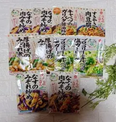 【送料込み・匿名配送】キッコーマン　うちのごはん6種合計10袋セットのサムネイル