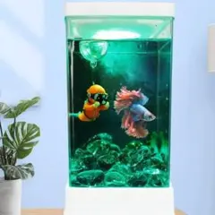 【新品】LED付小型水槽（熱帯魚・ベタ・メダカ・シーモンキー）