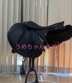 Item thumbnail for item c5f97a77-81c5-4bfa-aec2-11321db03884