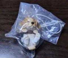 ぶらりーず 第4弾 「ビーグル」