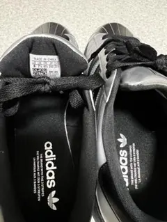 Item thumbnail for item f20e8592-0b9a-4811-9024-c8eda3e3b83c