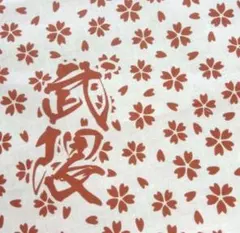 Item thumbnail for item 145d495c-ba79-44fc-af75-c1b674ee809c