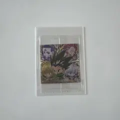 ハンターハンターウエハースシール vol.7 シークレット