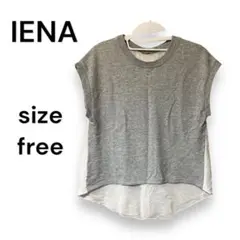 【IENA】 イエナ トップス サイズフリー 半袖 グレーのサムネイル