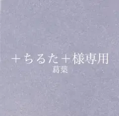 +ちるた+様専用