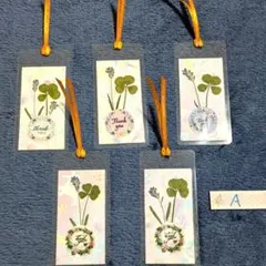 2026年最新】四つ葉の押し花ラミネートの人気アイテム - メルカリ