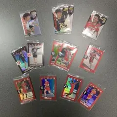 全日本男子バレーボール ツインウエハース　 JAPAN TEAM カード