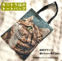 Item thumbnail for item d5a4f2c6-7ad5-4695-8483-a316cd703bc2