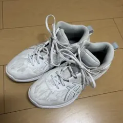 ASICS ゲルフープV17 EXTRAWIDE