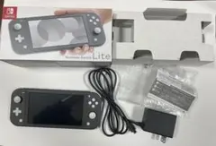 画面キズ有・Switch Lite ・グレー・希望があればオマケ付