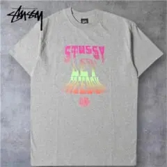 正規品 極美品 STUSSY Tシャツ L 00s グラデーション グレー 希少