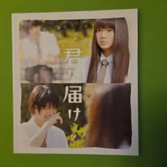 映画パンフレット　君に届け　三浦春馬　多部未華子